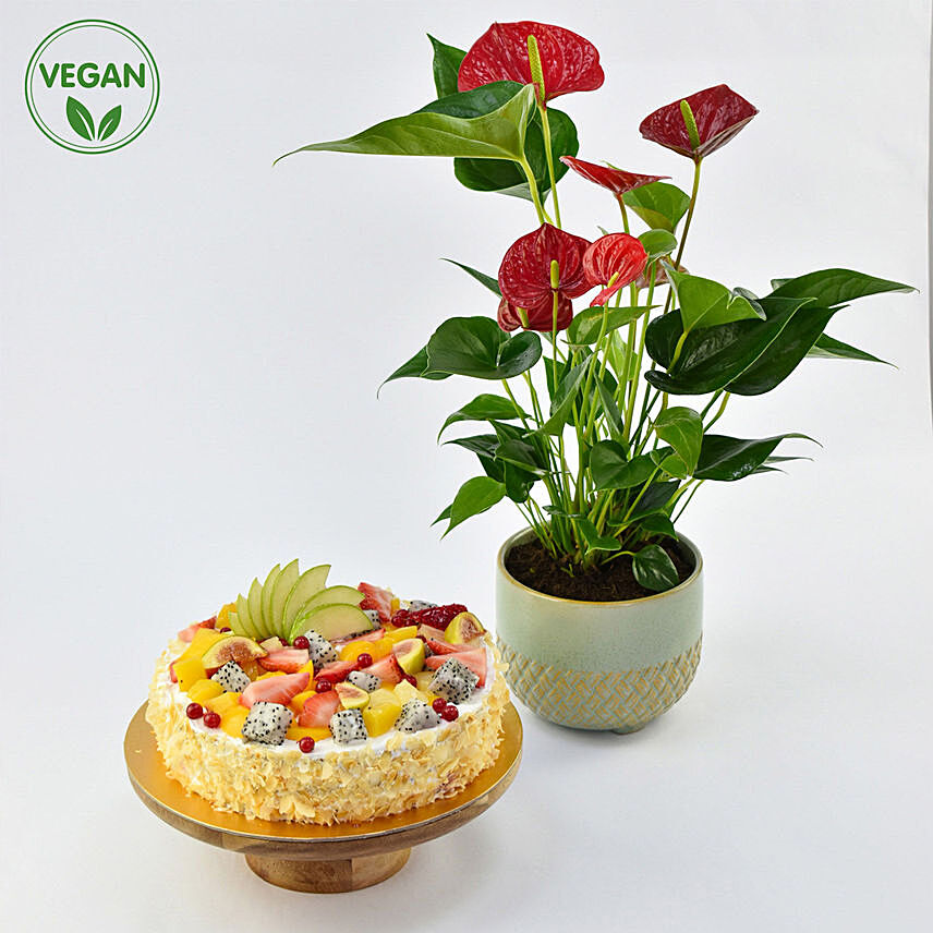 Vegan Fruit Cake and Plant: Anniversary Combos