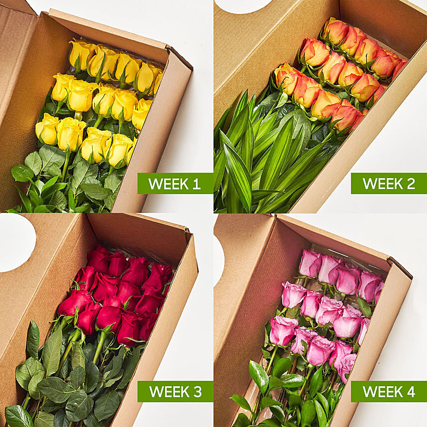 Weekly Subscription Colors of Roses: 