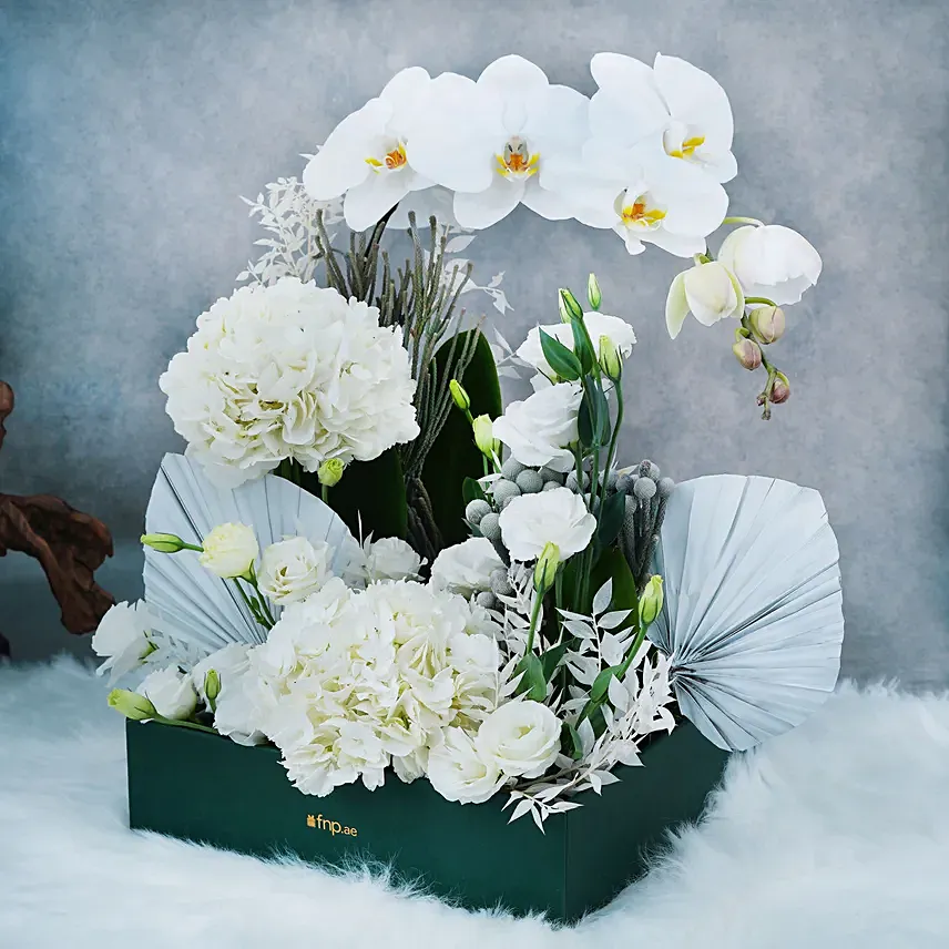White Flowers in Premium Tray: Luxury Flowers Dubai