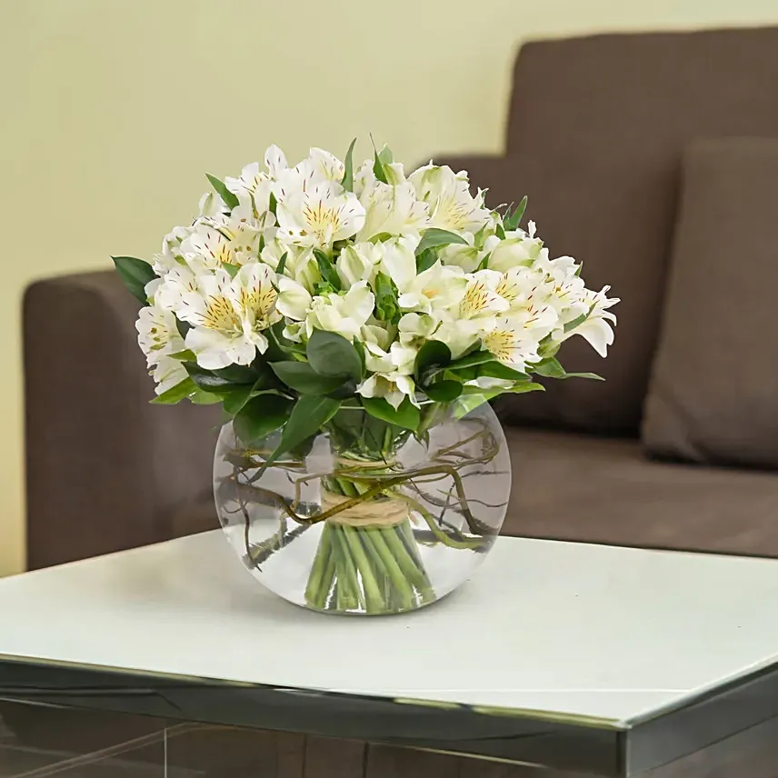 White Peruvian lily Arrangement: 