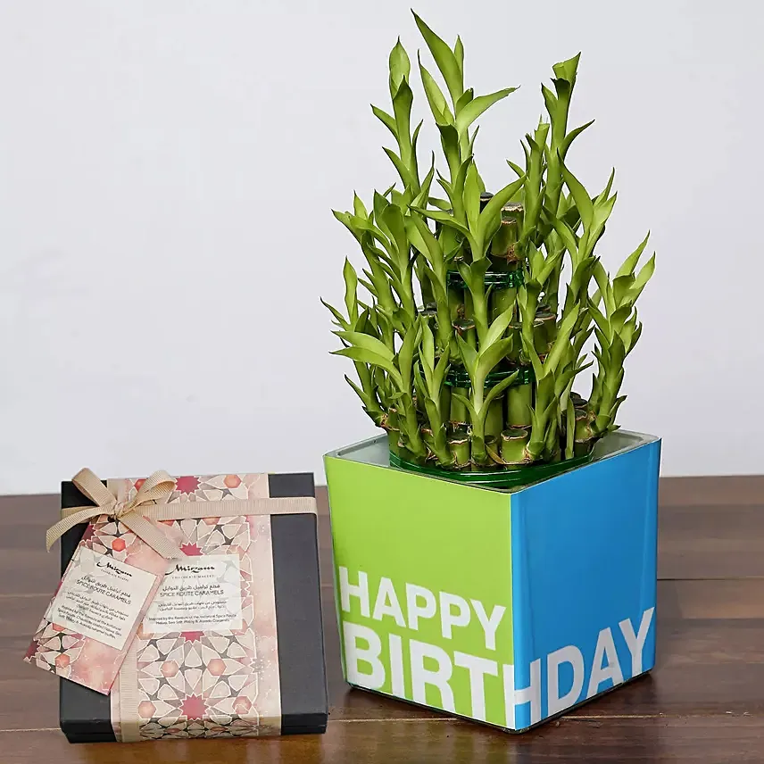 3 Layer Bamboo Plant and Mirzam Chocolates for Birthday:  Gifts to Al Ain