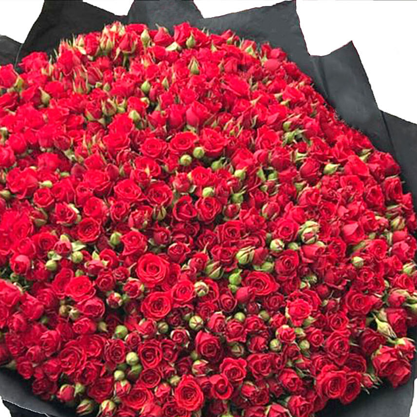 200 Red Spray Roses Bouquet: Kiss Day Gifts