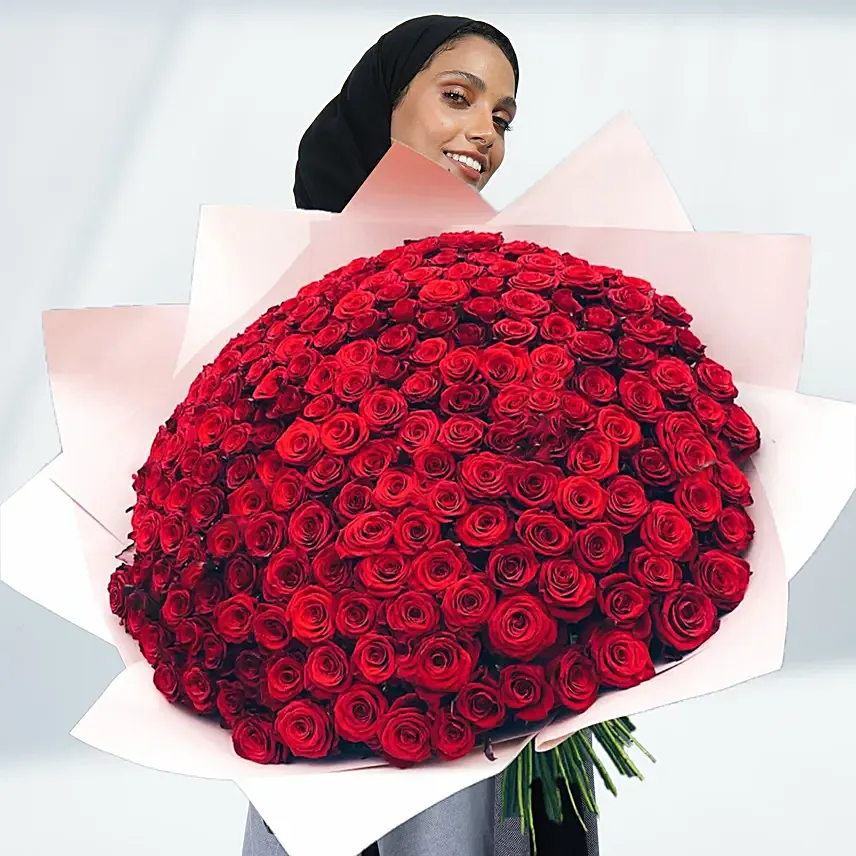 600 Red Roses Bouquet: Valentine Flowers for Girlfriend