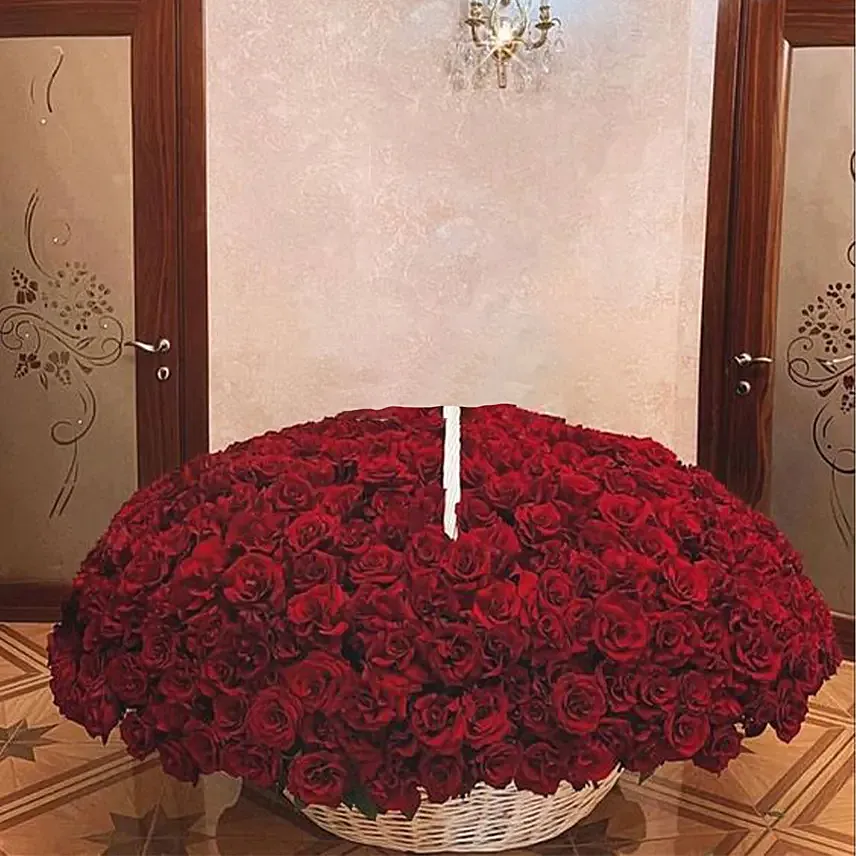 800 Red Roses Basket Arrangement: Kiss Day Gifts