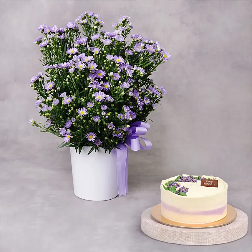 Aster Flower Elegance Birthday Wish and Cake: 