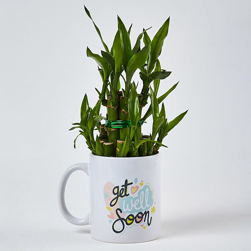 Bamboo Plant In Get Well Soon Mug: World Rose Day Gifts