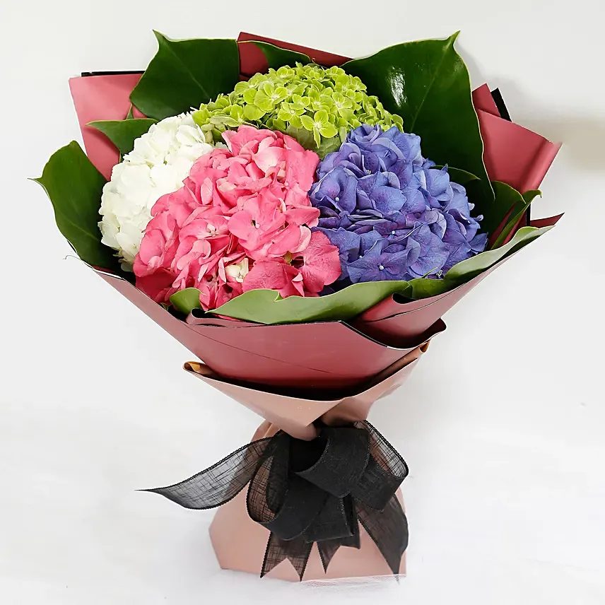 Beautiful 4 Colour Hydrangea Bouquet: Pink Flowers Delivery