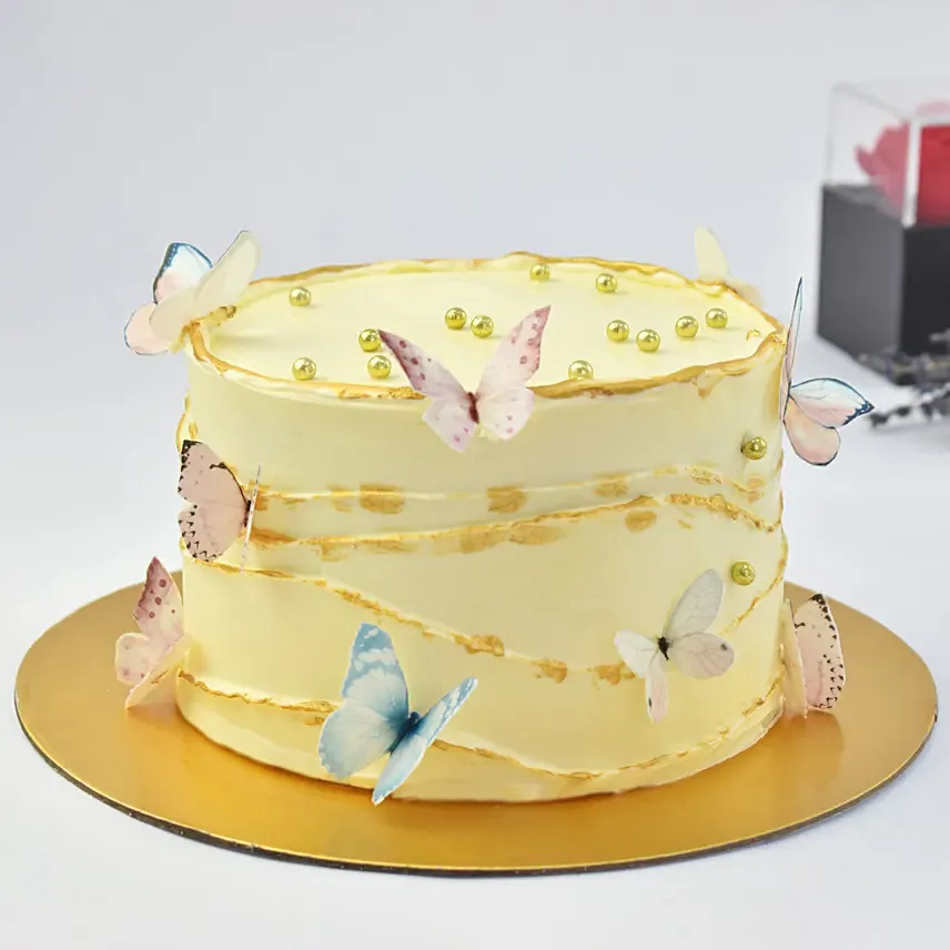 Best Wishes Butterfly Cake: 