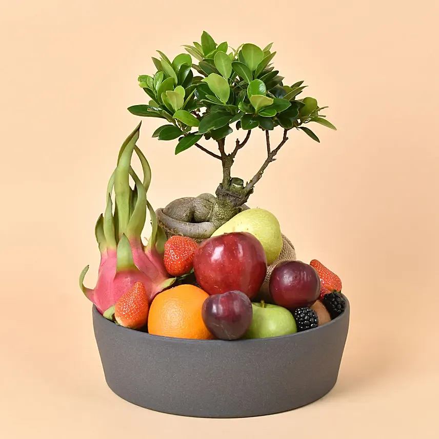 Bonsai and Fruits Tray: Plants And Fruits