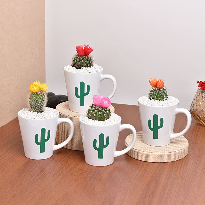 Cactus Garden: 