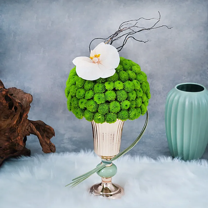 Chrysanthemum Flowers Stand: I Am Sorry Gifts