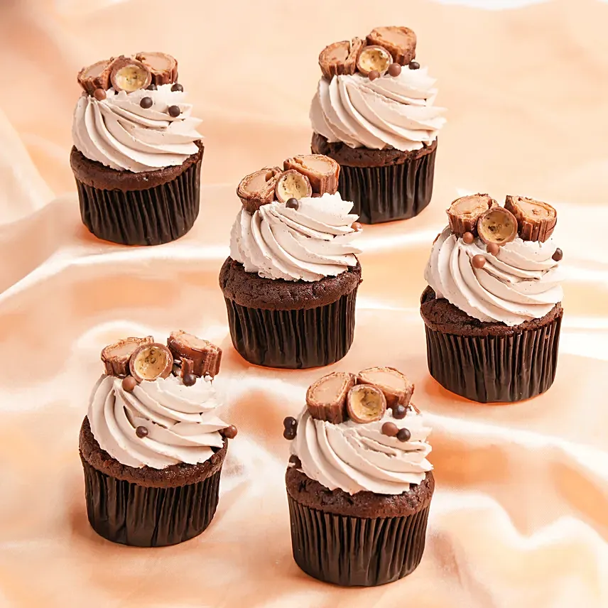 Delicious Chocolate Cupcakes: Cupcake 