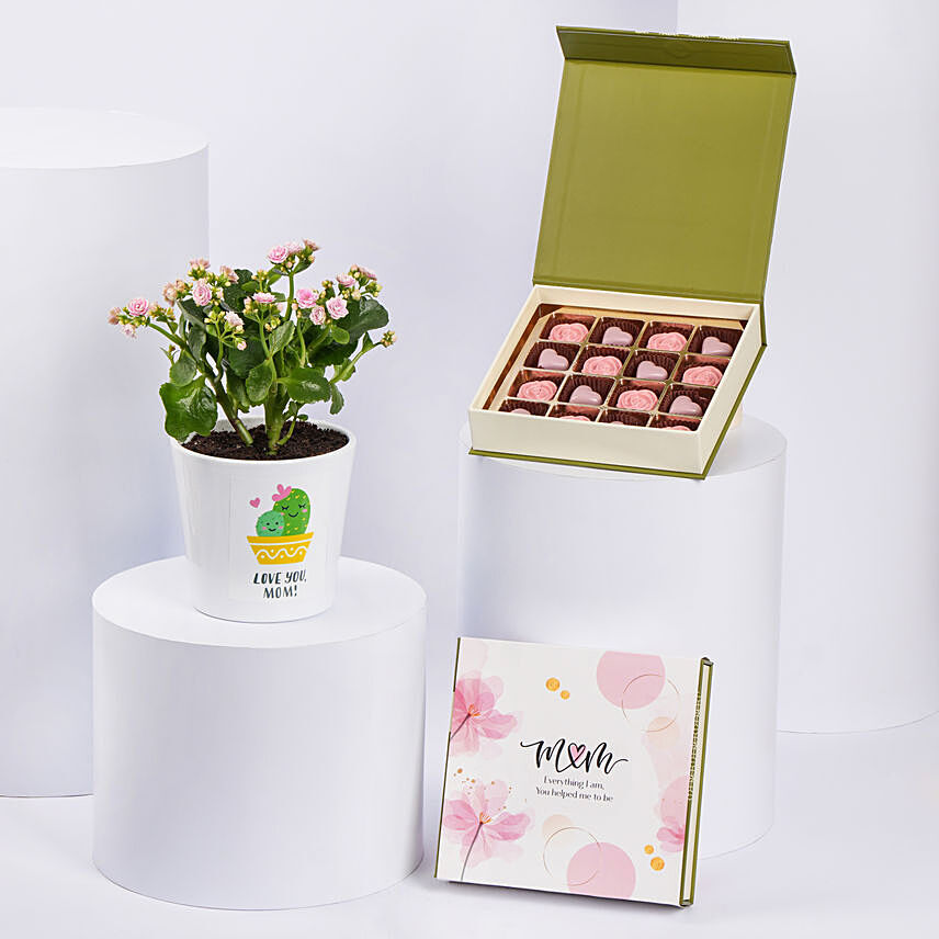 Kalanchoe Plant And Chocolates For Mom: Mothers Day Plants Delivery