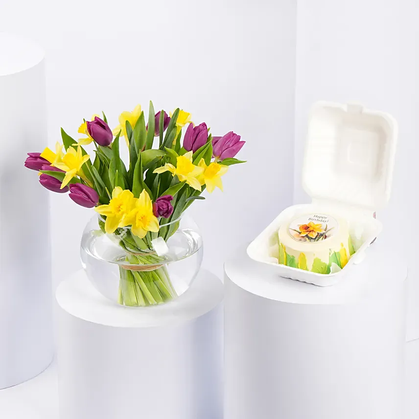 Tulips and Daffodils Beauty in Fish Bowl with Birthday Bento Cake: Flower Delivery Dubai