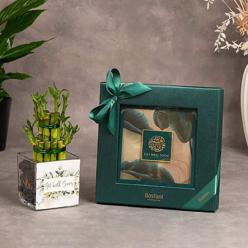 Bostani Get Well Soon Chocolate Box Large with Lucky Bamboo: New Arrival Combos