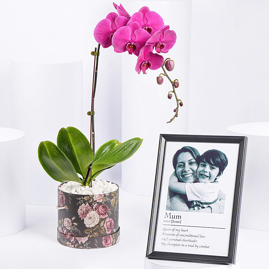 نبتة أوركيد موف مع إطار صور أبيض وأسود للماما: نباتات منزلية