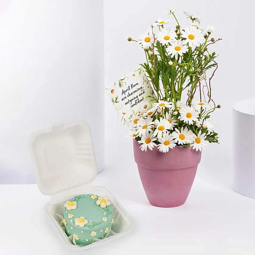 Daisy Theme Bento Cake and Flowers: Gifts Combos 