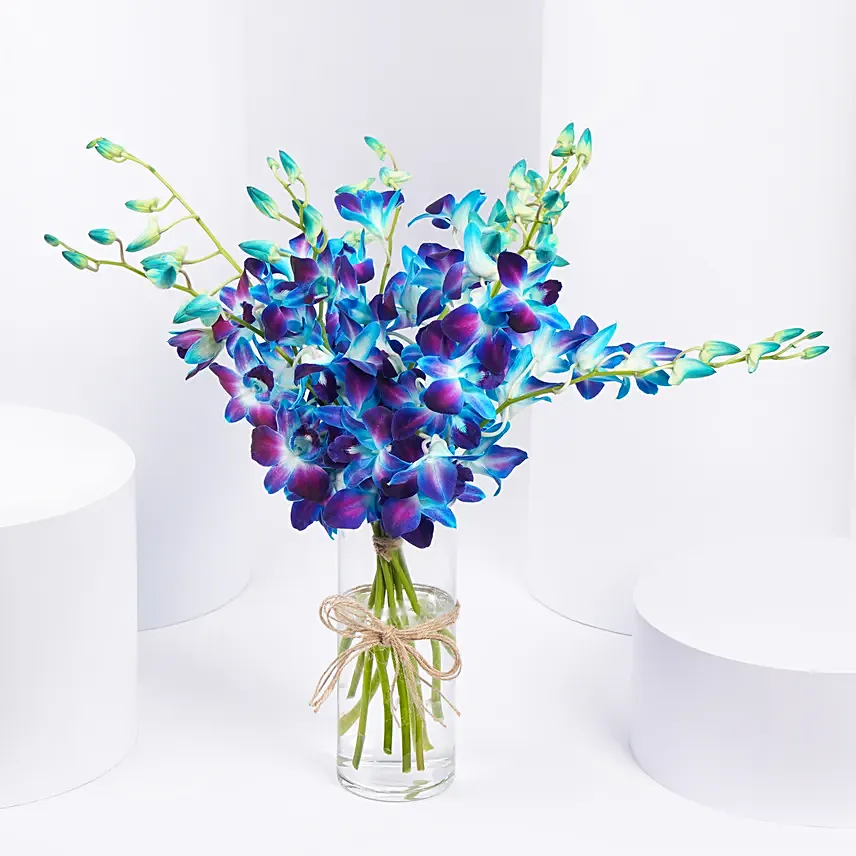 Mesmerizing Blue Orchids: One Hour Delivery Flowers