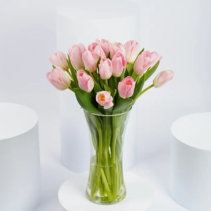 Pink Tulips Arrangement: New Born Flowers 
