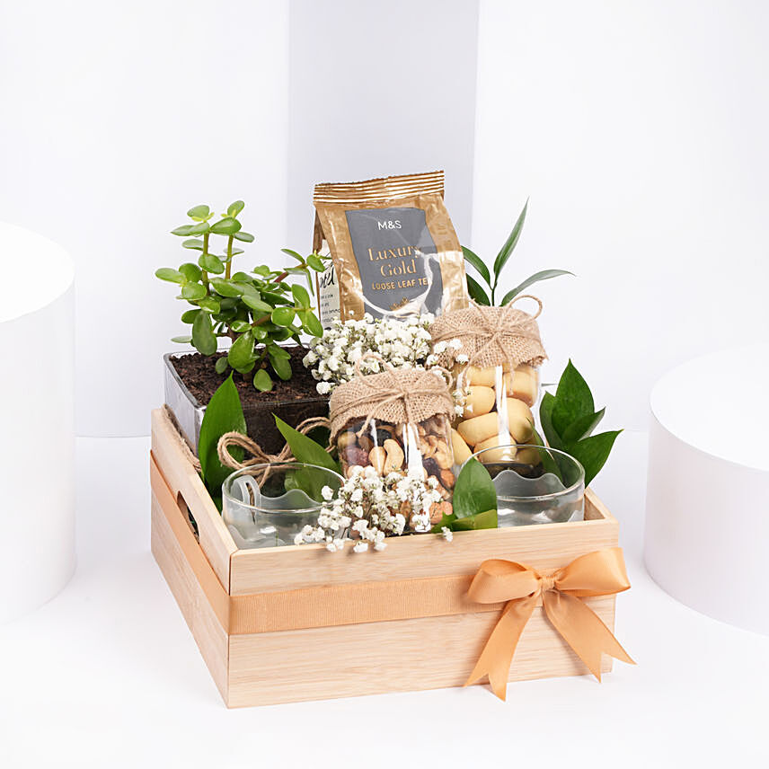 Tea and Plant Gift Hamper: Grandparents Day Gifts