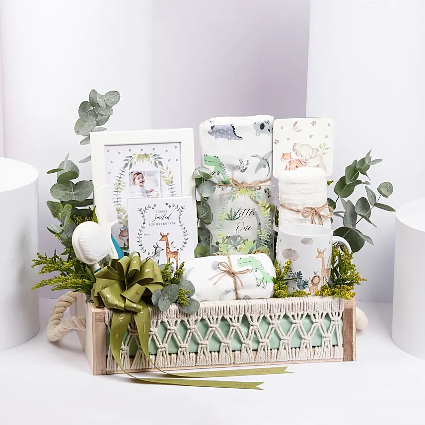 Celebration of New Born Journey Hamper: New Born Gifts