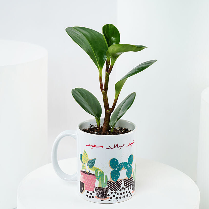 Peperomia Plant Birthday Mug: Flowering Plants