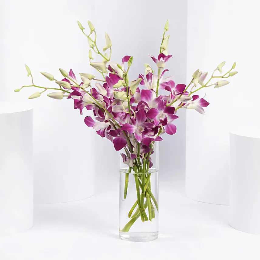 Pink Orchids in Glass Vase: Gifts for Her