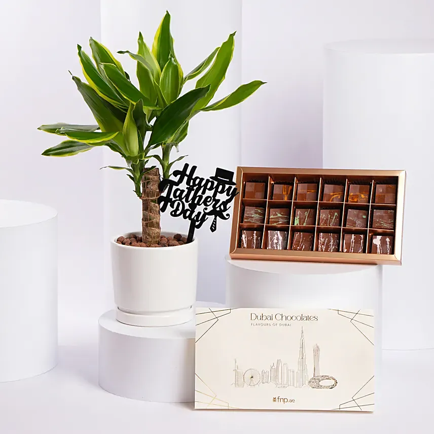 Delight Plant N Chocolate Gift Set Father Day Edition: Father's Day Gifts