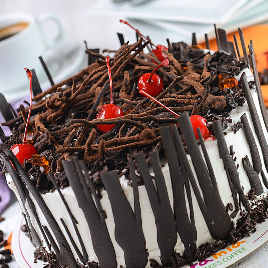 Yummy Choco Cherry Cake PH: 