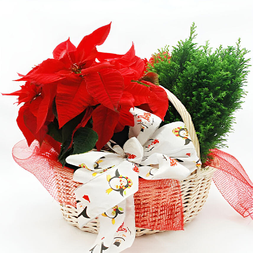 Holiday Blooming: توصيل ورد في الفلبين