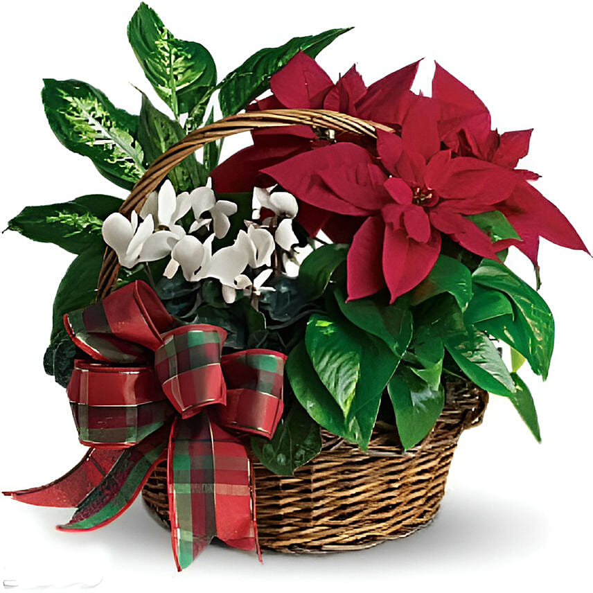 Decorated Plant: توصيل ورد في الفلبين