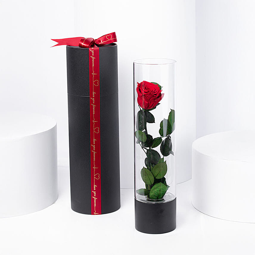 Forever Red Rose in Ebony: 
