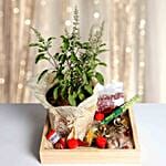 Happy Diwali Divine Hamper