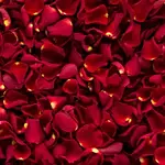 Half Kg Rose Petals