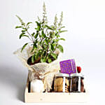 Sweet Diwali Hamper With Tulsi