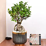 Bonsai Plant in Green Pot and Chocolates