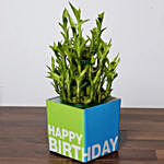 3 Layer Bamboo Plant For Birthday