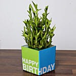 3 Layer Bamboo Plant For Birthday