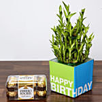 3 Layer Bamboo Plant With Chocolates For Birthday