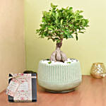 Chocolates & Bonsai Delight Set