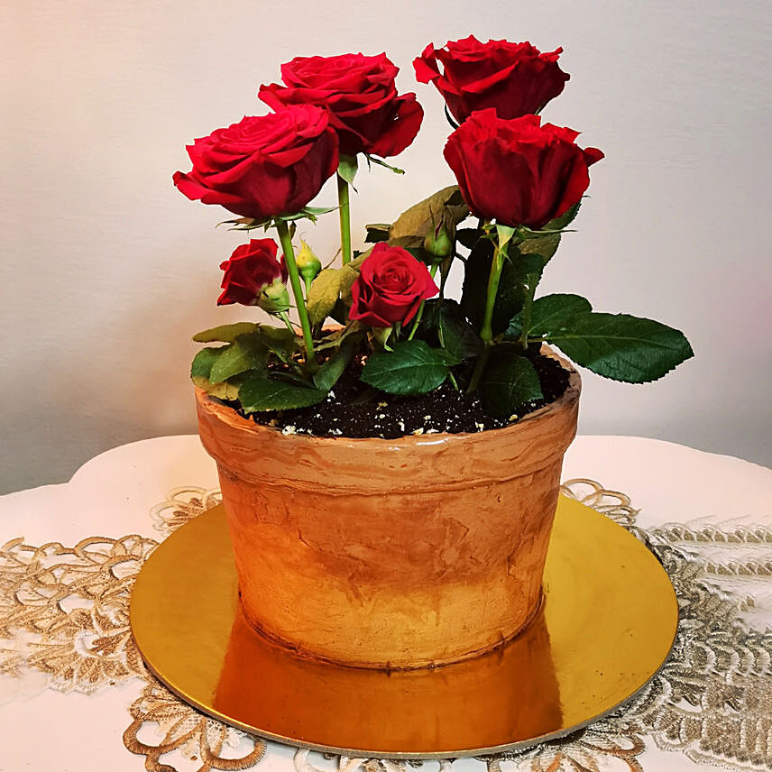 Chocolate Cake With 6 Red Roses: Send Cake to Saudi Arabia