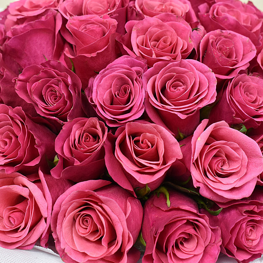 Majestic 50 Dark Pink Roses: 
