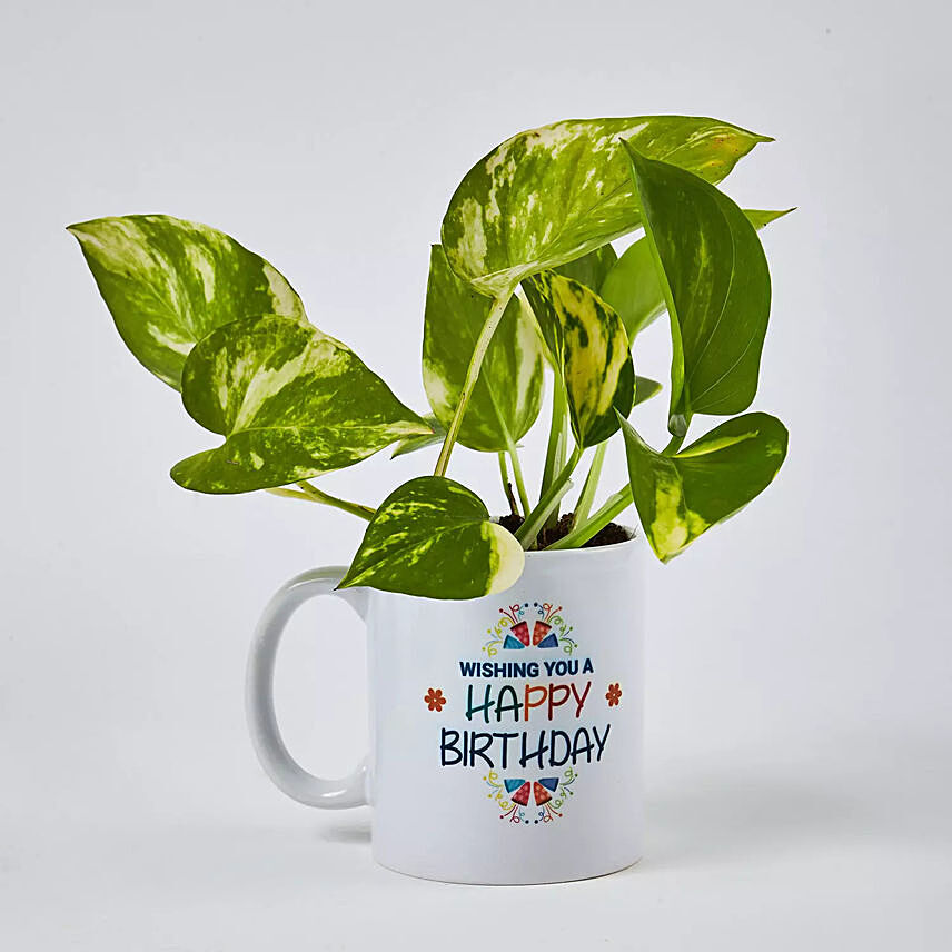 Money Plant In Happy Birthday Mug: Send Plants to Saudi Arabia