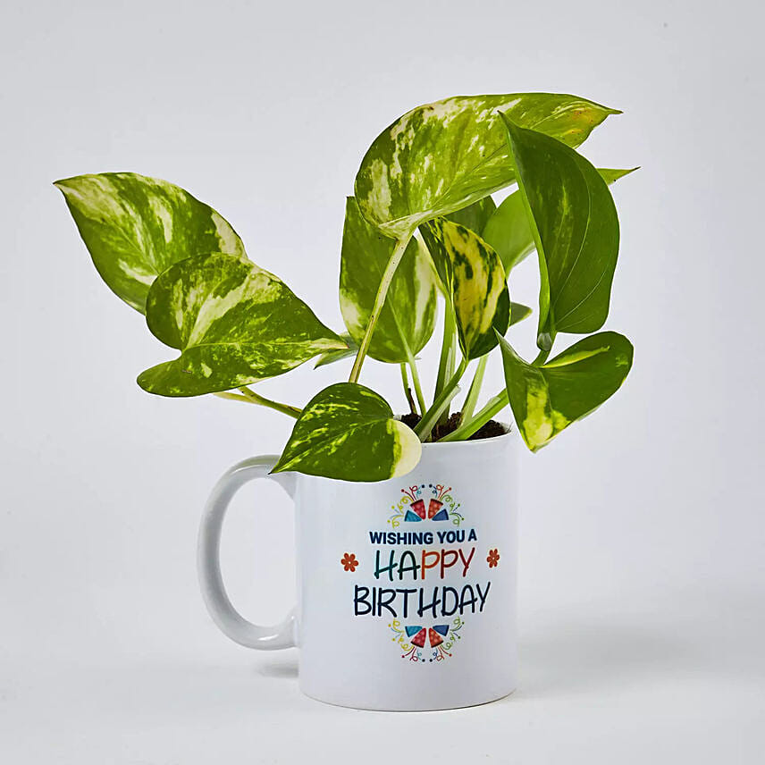 Money Plant In Happy Birthday Mug: Send Indoor Plants to Saudi Arabia