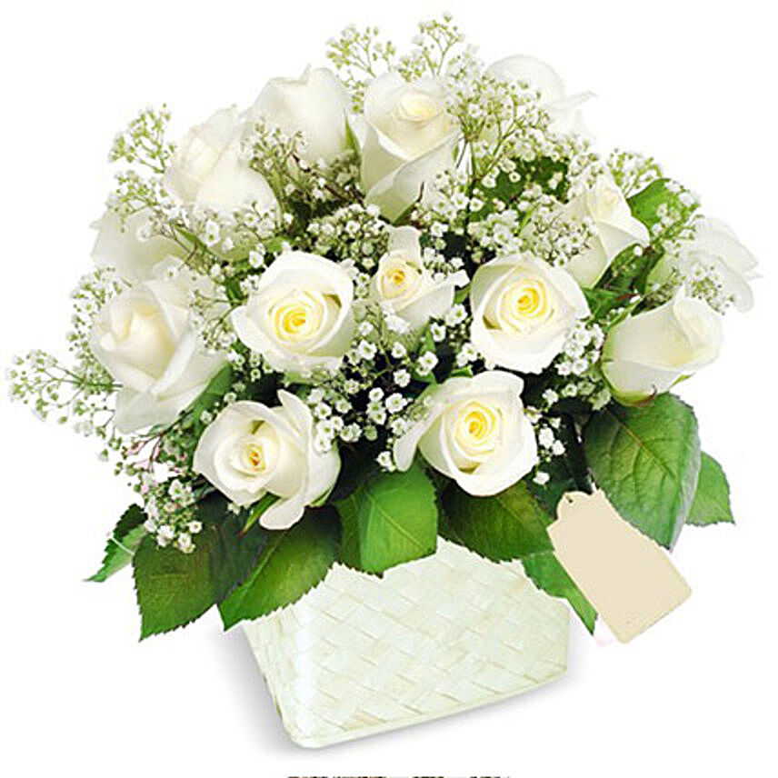 Pot Of White Roses:  Flower Delivery Sri Lanka