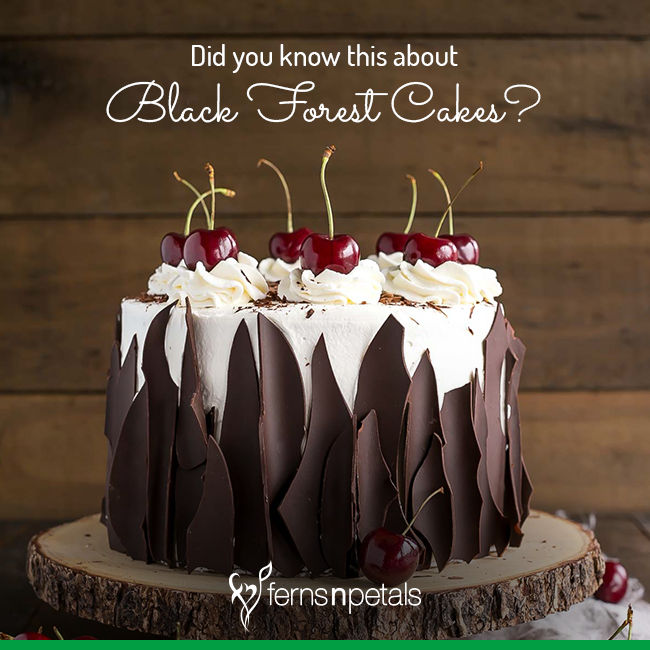 Black Forest Cakes