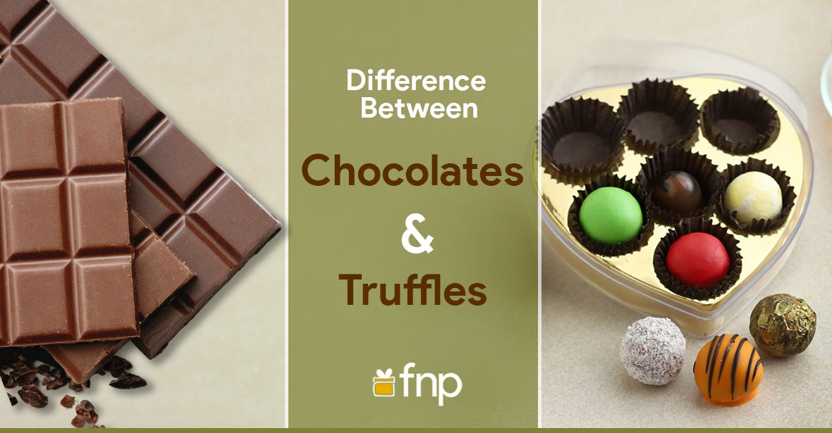 Difference Between Truffles and Chocolates
