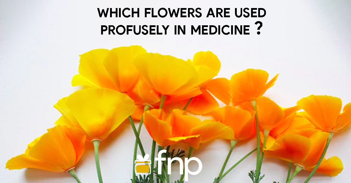 Which Flowers Are Used Profusely In Medicine?