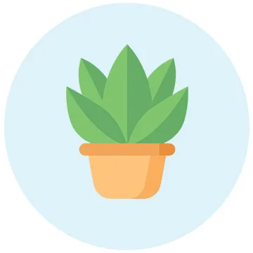 Plants for Father's Day