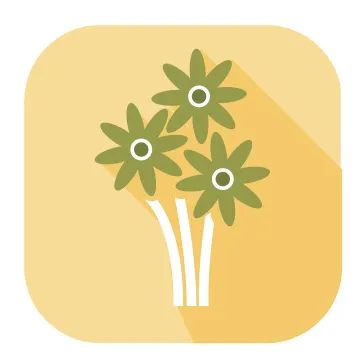Flower Delivery